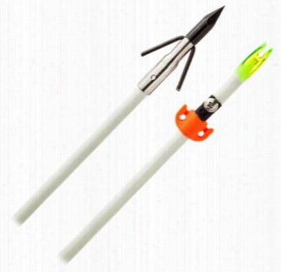 Archenemy Tournament Series Bowfishing Arrow