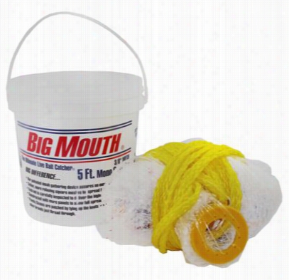 Big Mouth Mono Ccast Net - 3/8&qu Ot;  Messh - 3' Radius
