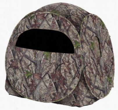 Blackout Enigma Spring Steel Ground Blind