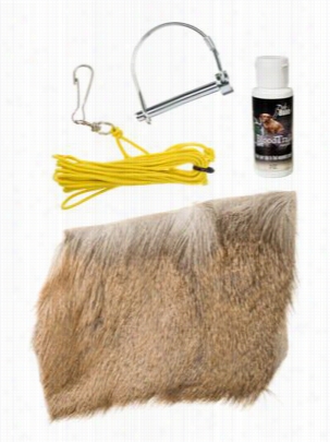 Dogbone Game Recovery System Dog Training Kit