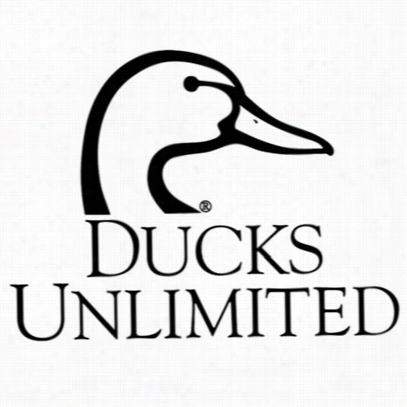 Ducks Unlimited 'wetlands For Tomorrow' Dontaion-  Usd