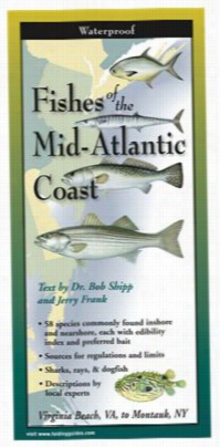 Fis Hes Of The Mid-atlantic Shore Laminated Identificationguide