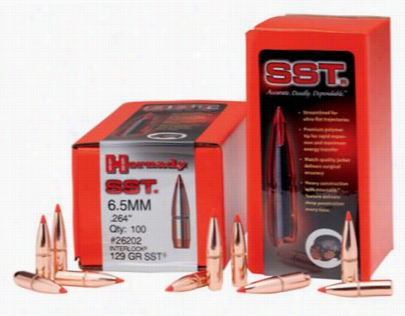 Hornady Sst Bullets - .25 Caliber - 117 Particle - 100 Rounds