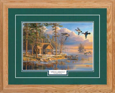 Northern Promotons  Framed Art -spring Arrivals By Mary Pettis