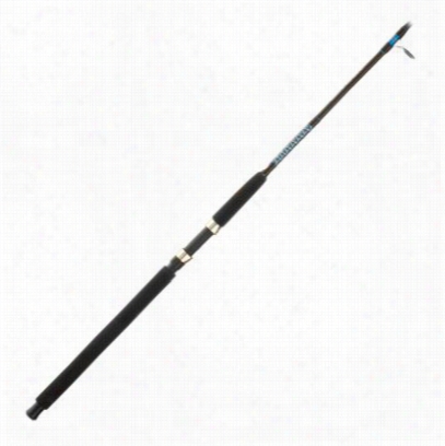 Offshore Angler Sea Lion Spinning Rod - Model Sl6615305s