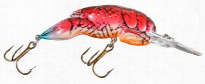 Rebel Distended Craw - Nest Robbee