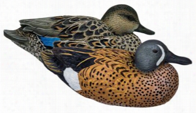 Redhead Reality Series Blue-winged Teal Decoys