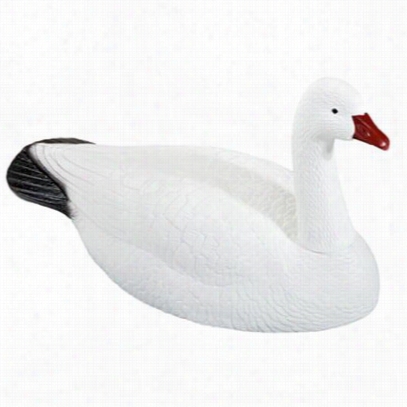 Redheda Snow Goose Shell Decoys - Snnow White