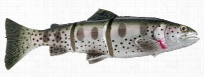 Savage Gear 3d Line-thru Trout - 6' - Ujvenile Trout - 11 Oz.