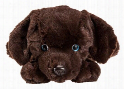 Stuffed Floppy Chocolate Lab