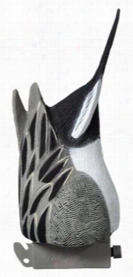 Tanglefree Pro Series Pintail Feeder Butt Duck Decoys