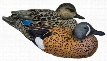 RedHead Reality Series Blue-Winged Teal Decoys