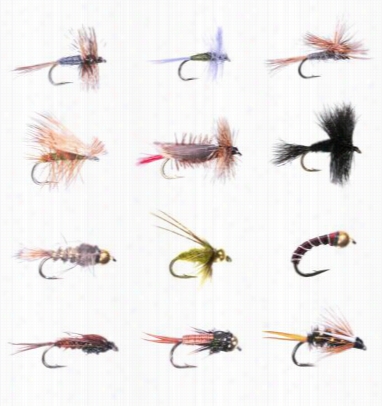 White River Fly Shop 12-piece Classi Trout Lfy Assortment