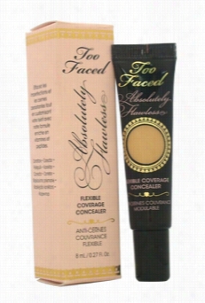 Absolutely Flawless Flexible Coverage Concealer - Vanilla