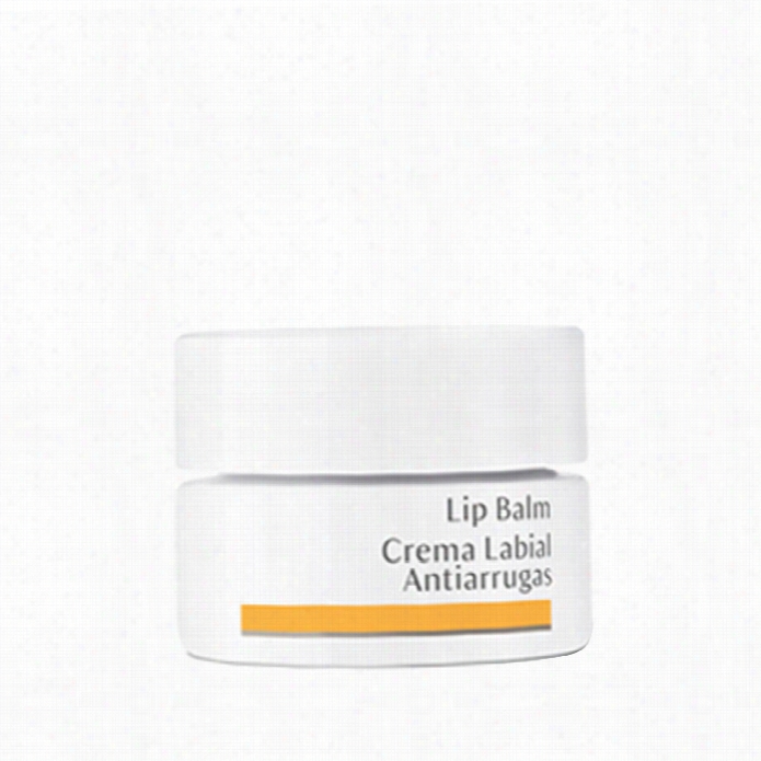 Dr.hauschka Lip Balm