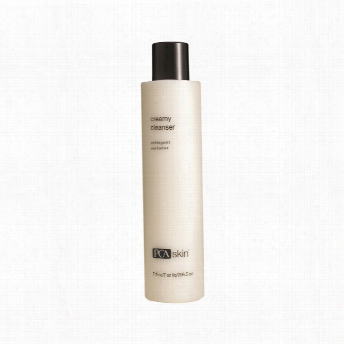 Pca Skin Cdeamy Cleanser