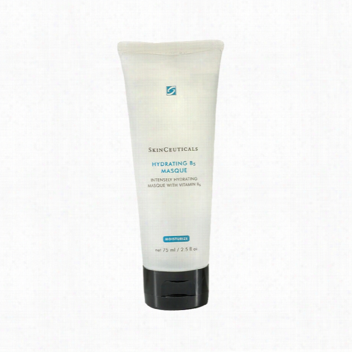 Skinceuticals Hydrating B5 Masque