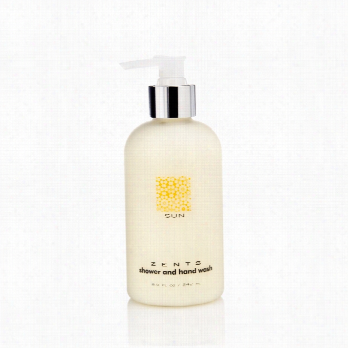 Zents Palm And Shower Wash - Sun