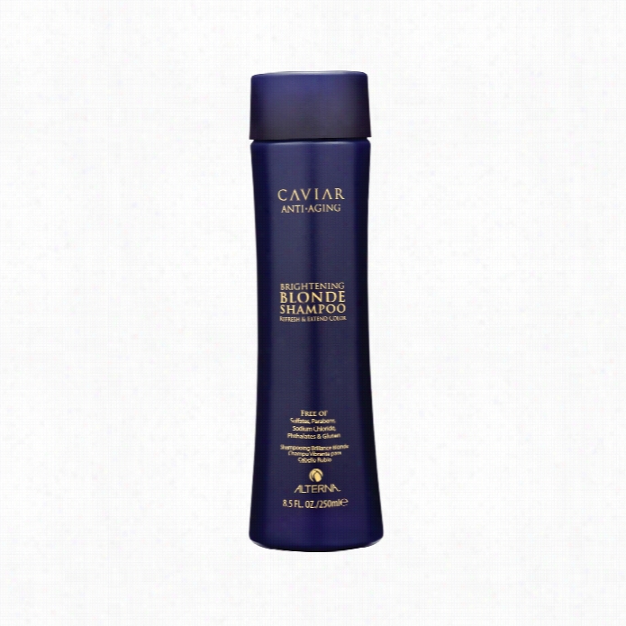 Altrna Caviar Anti-agign Brightening Blnde Shampoo 8.5 Oz