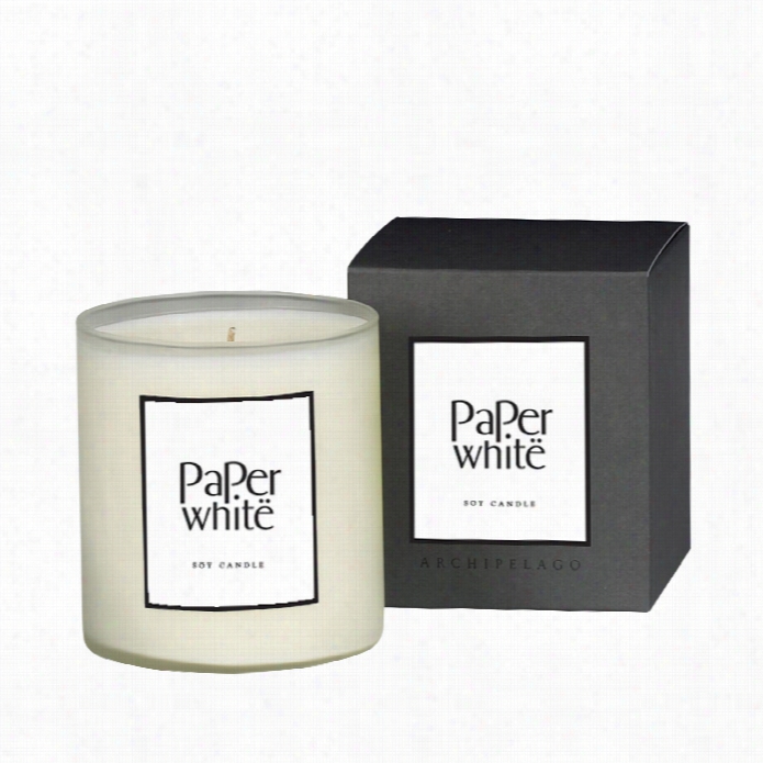 Archipelago Botanicals Home Soy Candle - Paper White