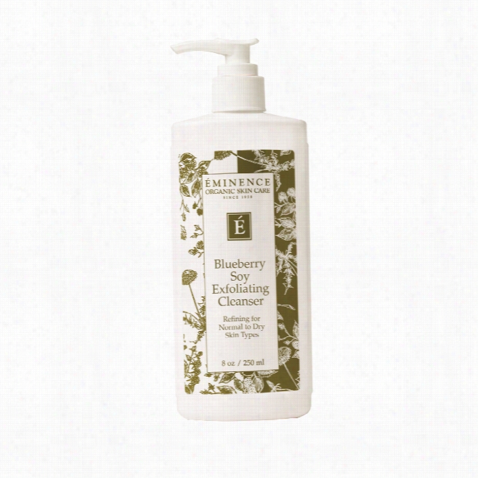 Eminence Blueberry Soy Exfoliating Cleansre