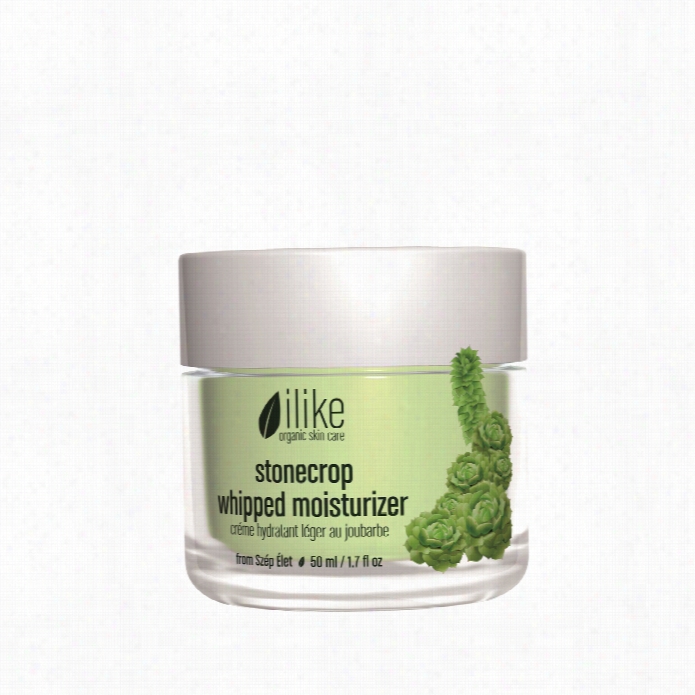 Ilike Stonecrop Whipped Moisturizer