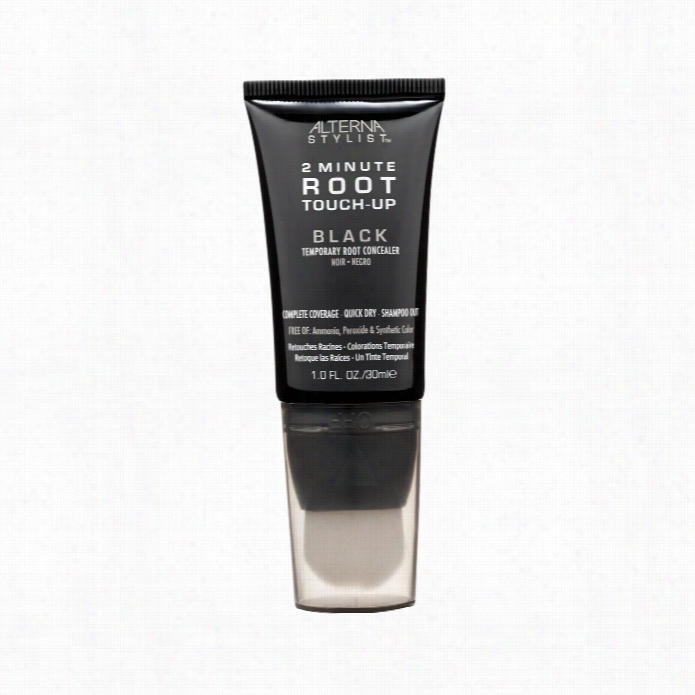 Alterna 2 Little Root Touch-up - Black