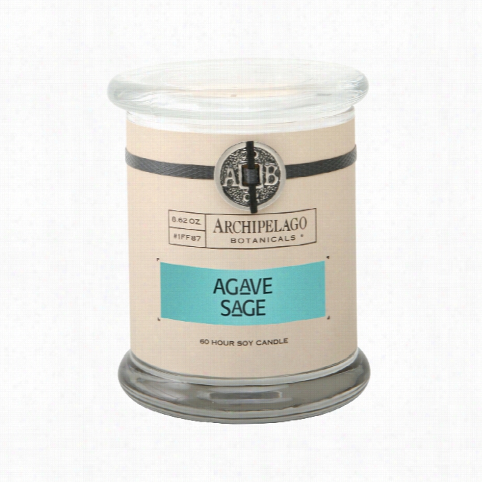 Archipleago Botanicals Glass Jar Candle  - Agave Sage