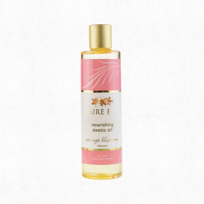 Pure Fiji Massage Oil - Orahge Blossom