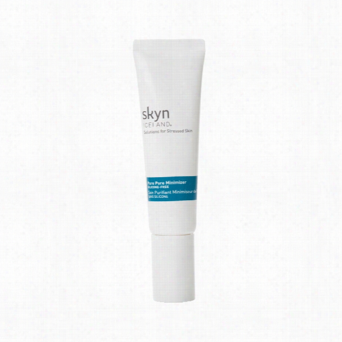 Syn Iceland Pure Pore Minimizer