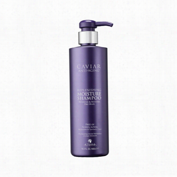 Alterna Caviar Anti-aging Replenishing Dampness Shampoo 16.5 Fl Oz