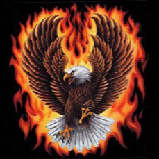 Fire Eagle T-shirt