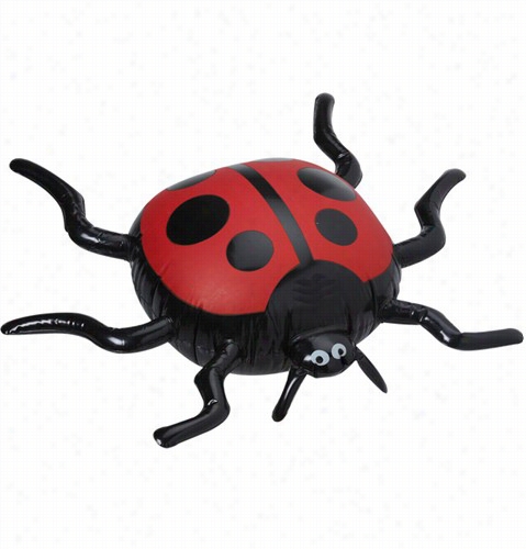 Inflatable Ladybug - 16 Inches Bjg!