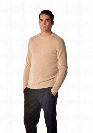 Spring Sweater For Men - Pure Cashmere Crew Neck