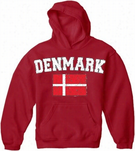 Denmark Vintage Flag International Hoodiie