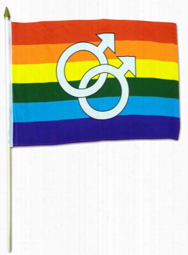 18&&quot; X 12&quot; Venus Rainbow Pride Flag