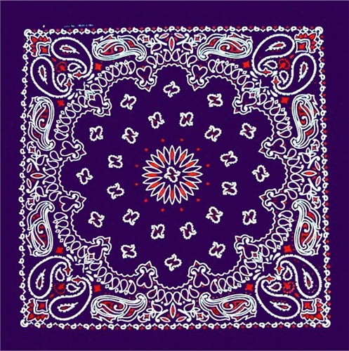 Bandanas -n Avy Blue & Red Paisley Andanna