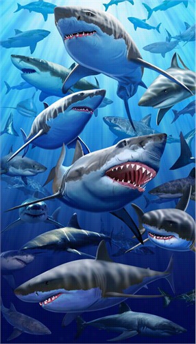 Great White Shark Beach &a Mp; Bath T Owel (50&quot; X 70&quot;)