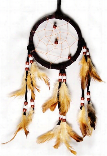 Native Spiits 4 Inch Dre Am Catcher