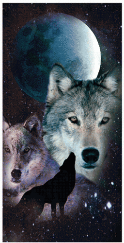 Night Wolves  Beach Andd Bah Towel (30 X 60)