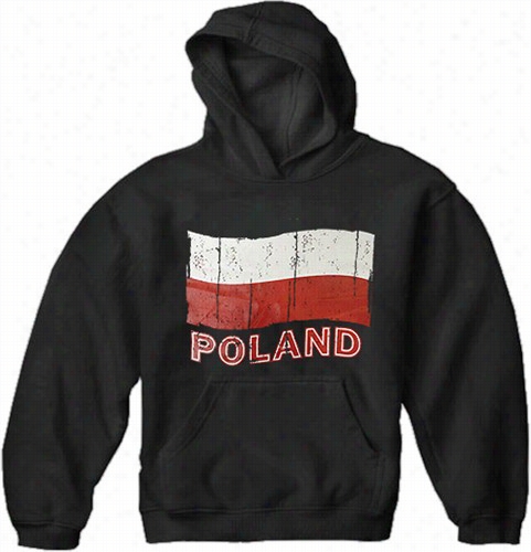 Vintage Poland Wavi Ng Flag Adult Hoodie