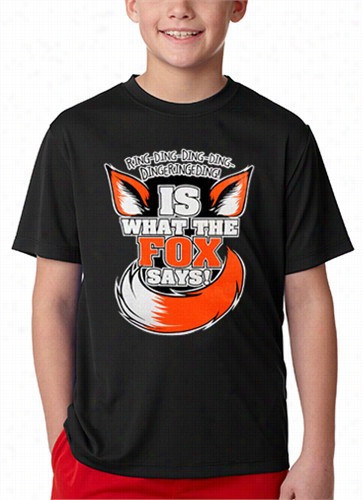 What Does The Fox Say?r Ing-ding-ding-ding Kid's T-shirt