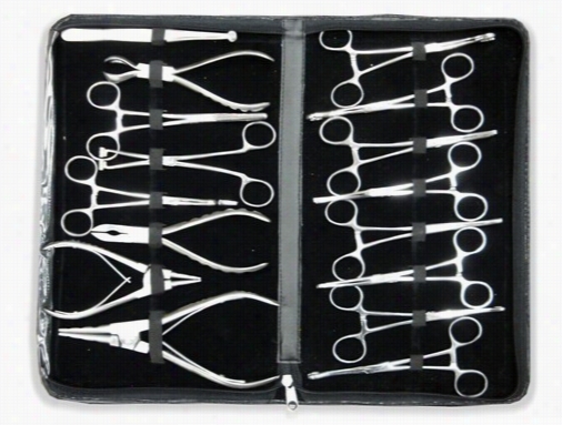 16 Painting Professional Piercing Kit