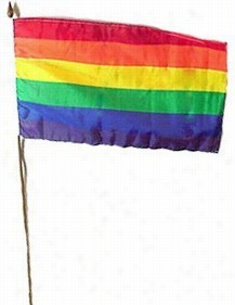 6&quot; X 4&quot; Gay Pride Rsinbow Flag