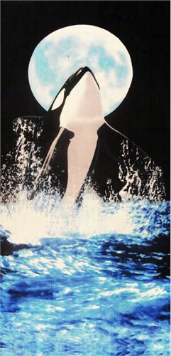 Killer Whale Beach & Bath Towel (30&quott; X 60&am;quot;)