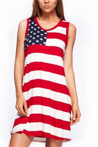 All Over American Flag Pa Trriotic Tunic Dress