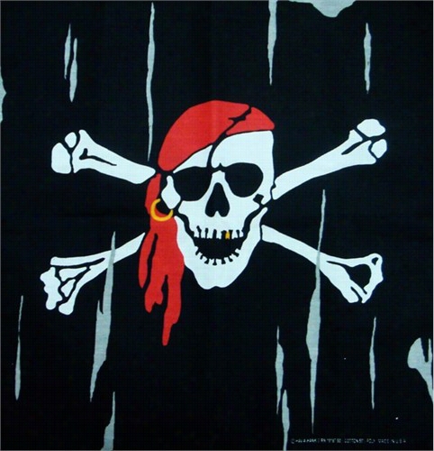 Bandanas - Pirate Skull Bandana