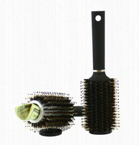 Hair Brush Diversion Safe