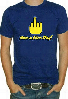 Have  Anice Day T-shirt