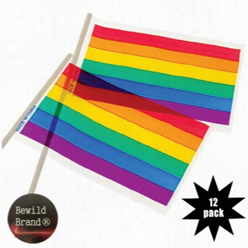 Set  Of 12 Plastic  4 X 6 Rainbow Flags (one Dozen Lags)